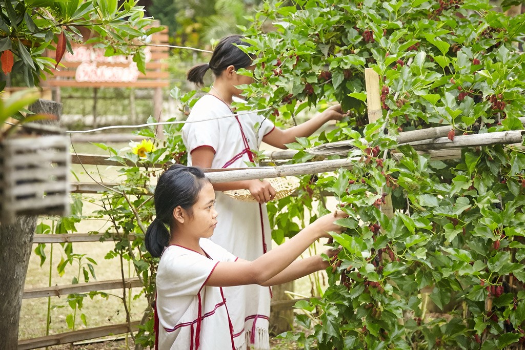 รร.บ้านจันทร์ มุ่งสร้างทักษะชีวิต เด็กมีวิชาชีพ thaihealth