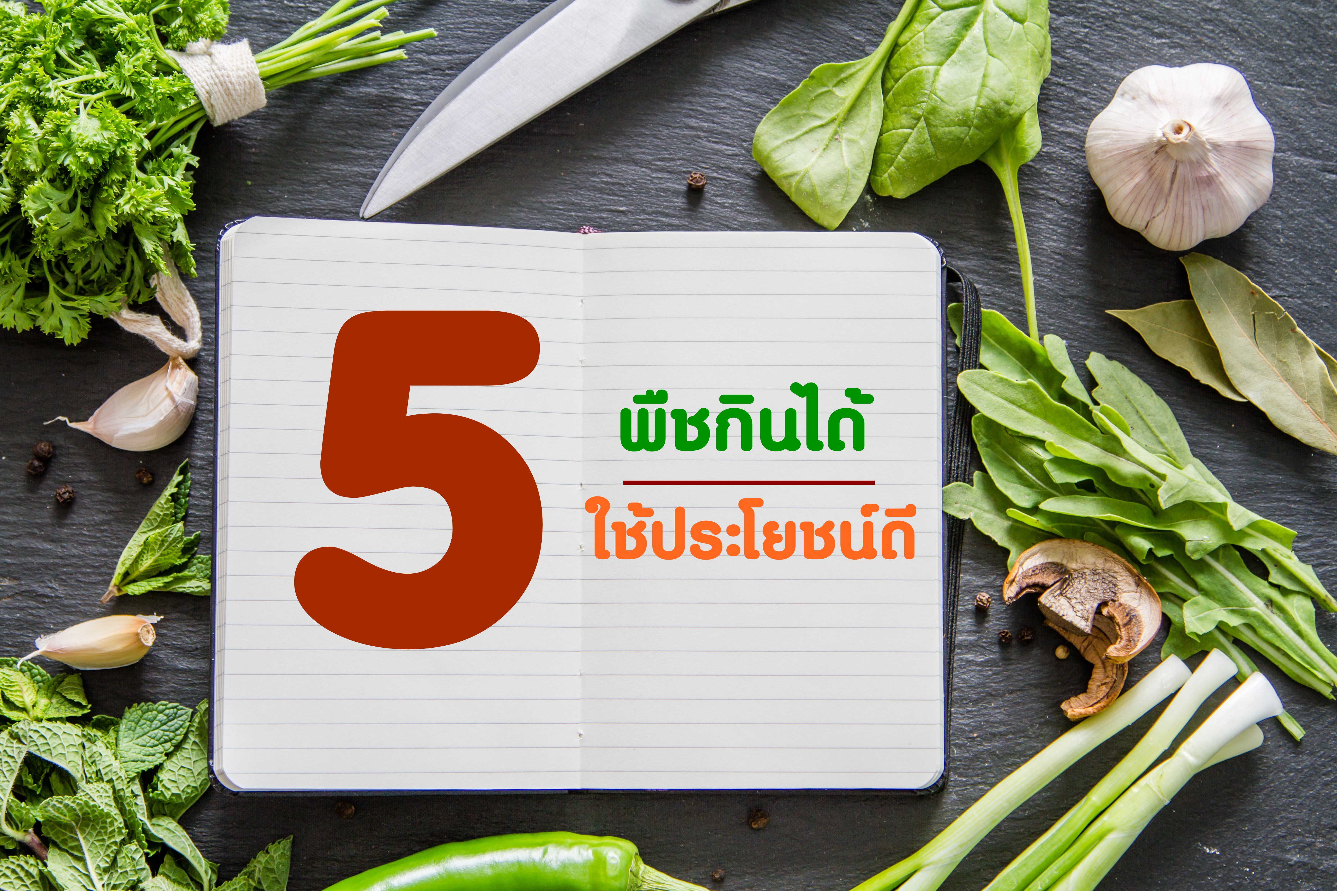 5 พืชกินได้ ใช้ประโยชน์ดี thaihealth