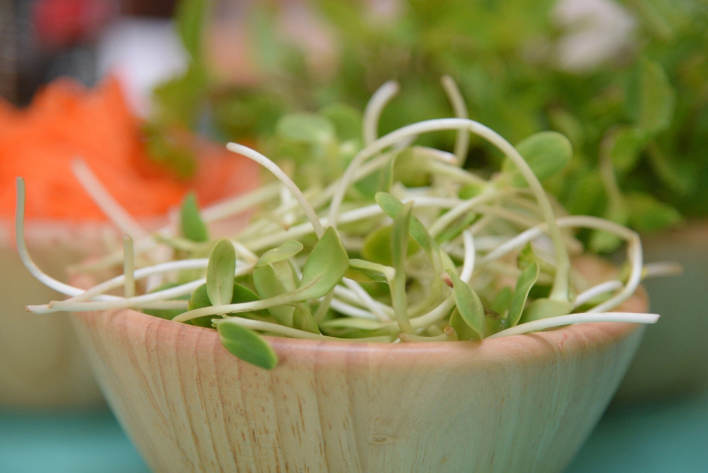 'สลัดม้วน ม่วนใจ' ของอร่อยสำหรับคนรักสุขภาพ thaihealth