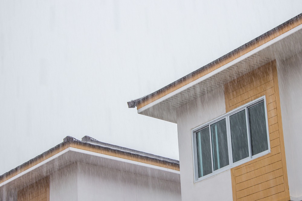 หน้าฝนระวังเชื้อราในบ้าน เสี่ยงสะสมโรค thaihealth