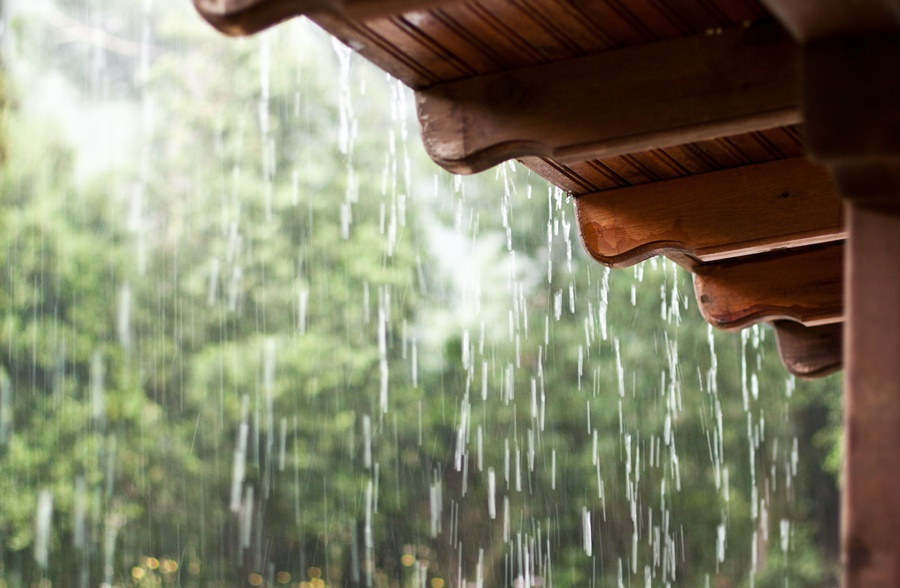 ระวังฝนมา 'รา' บุกบ้าน  thaihealth