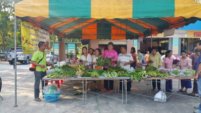 'บ้านม้าร้อง' ปลูกผักเพิ่มรายได้ครัวเรือน thaihealth
