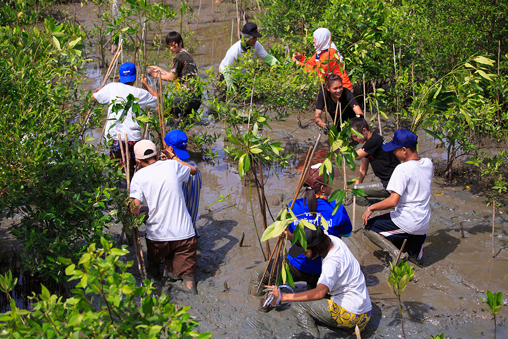 ปลูกต้นไม้เฉลิมพระเกียรติ ฟื้นฟูระบบนิเวศน์ริมน้ำ thaihealth