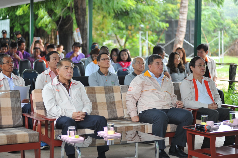 ชูสุรินทร์ต้นแบบ 