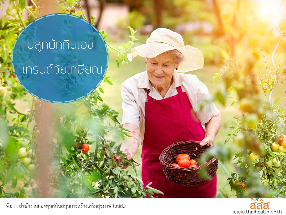 'ปลูกผักกินเอง' เทรนด์วัยเกษียณ thaihealth