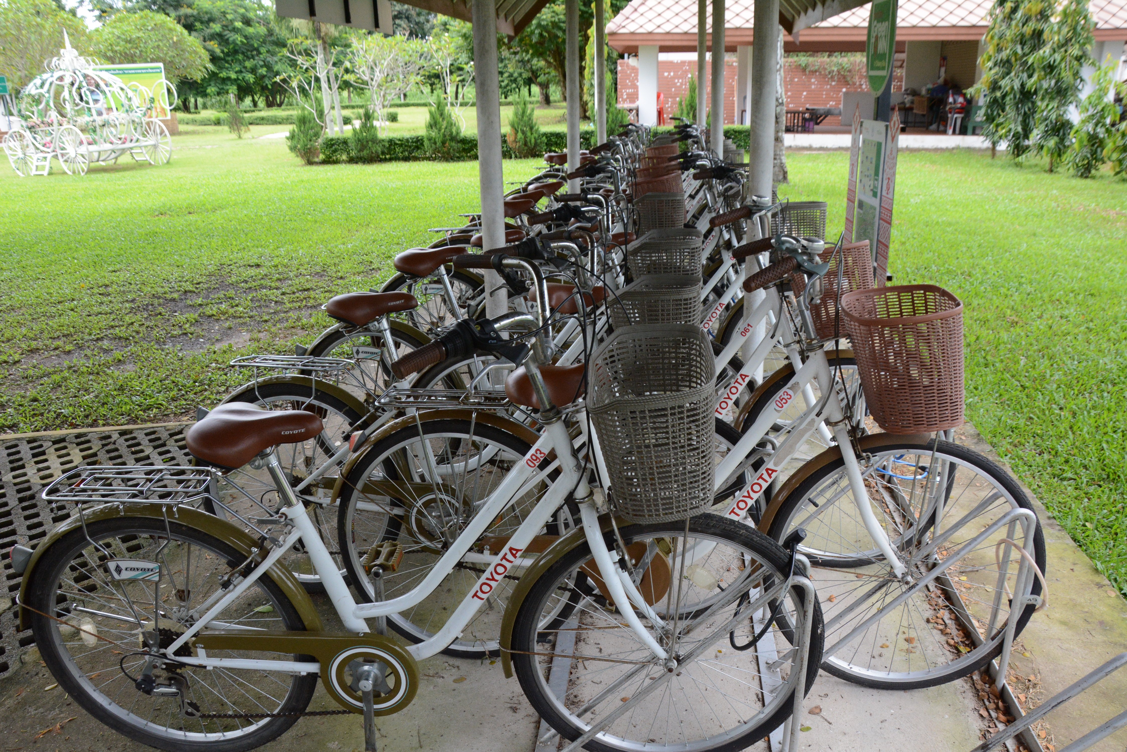 มหานครเชียงราย เมืองจักรยาน ห่วงโซ่ความสุข thaihealth