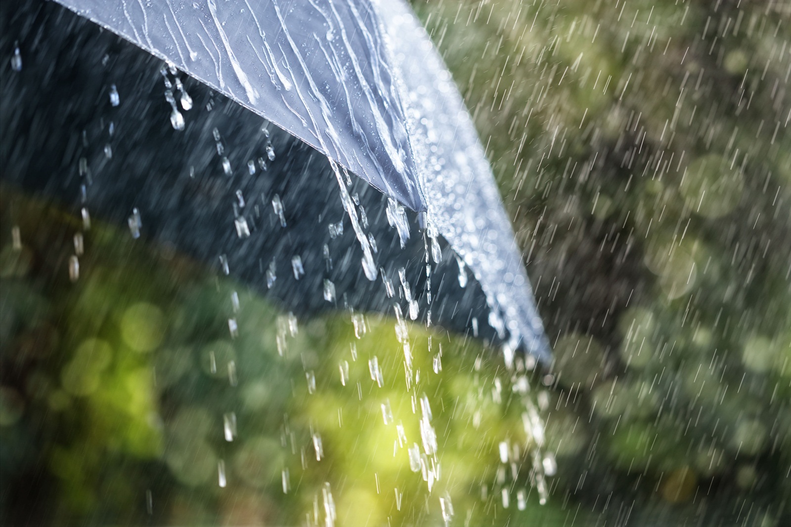 หน้าฝนระวัง“ไข้เลือดออก-ฉี่หนู”ระบาด thaihealth
