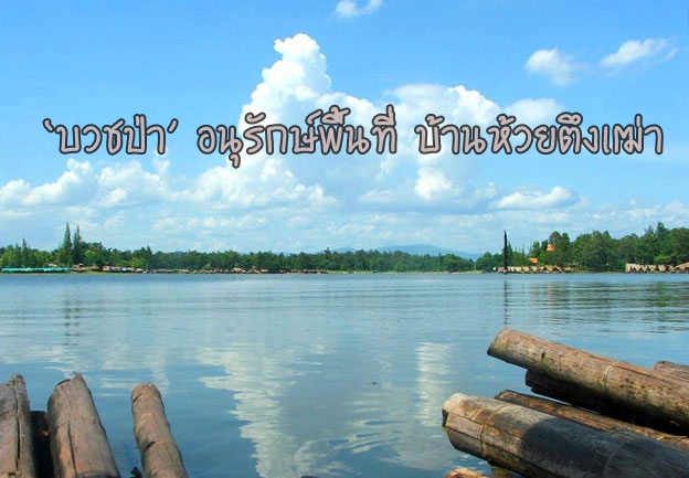 ‘บวชป่า’ อนุรักษ์พื้นที่ บ้านห้วยตึงเฒ่า  thaihealth
