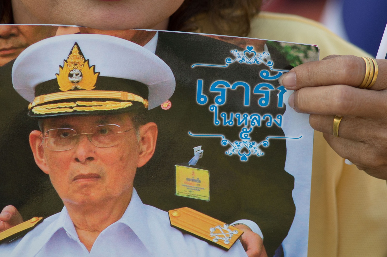 น้อมนำพระราชดำรัส เร่งปราบ“ยุงลาย” thaihealth