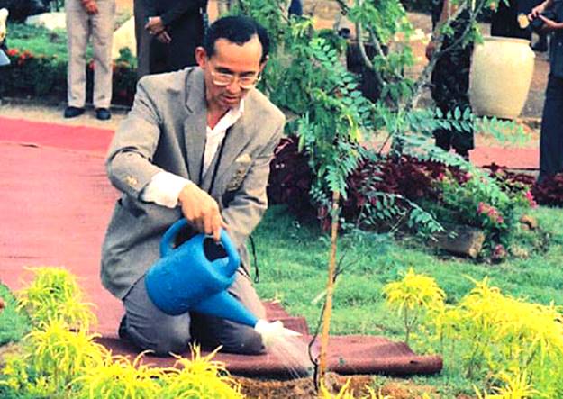 งดเหล้าตลอดชีวิต ถวายพ่อหลวง thaihealth