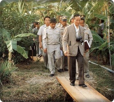 'บ้านเชียงสง'พลิกฟื้นความจนด้วยเศรษฐกิจพอเพียง thaihealth