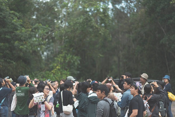 ปิดค่าย 