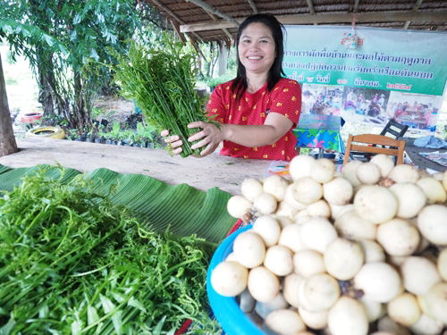 'ผักผลไม้พื้นบ้าน'เครื่องมือสร้างสุขภาพชุมชน thaihealth