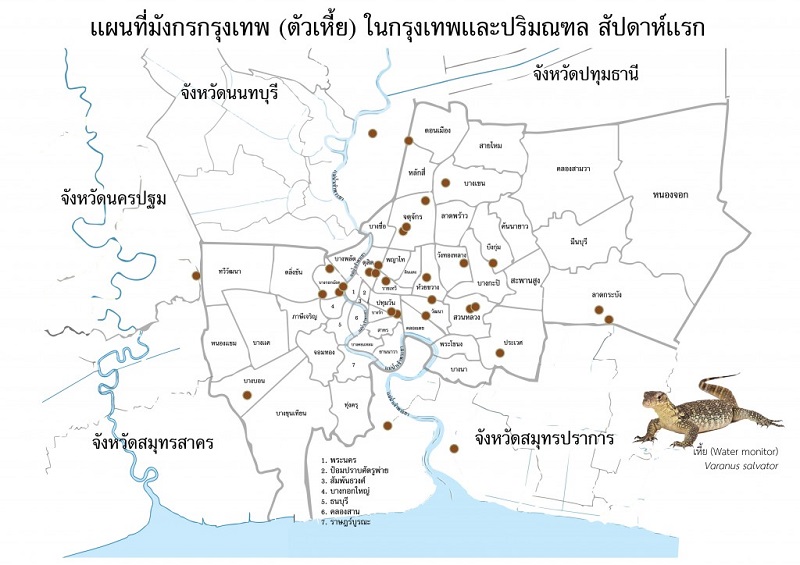 แผนที่ `มังกรกรุงเทพ` thaihealth