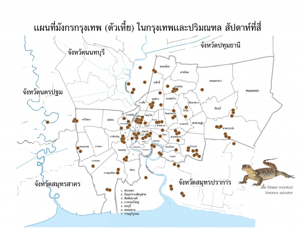 แผนที่ `มังกรกรุงเทพ` thaihealth