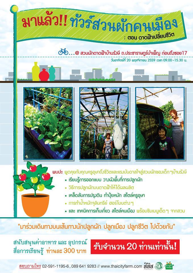 สวนผักคนเมือง ตอน ‘ดาดฟ้าเปลี่ยนชีวิต’ thaihealth