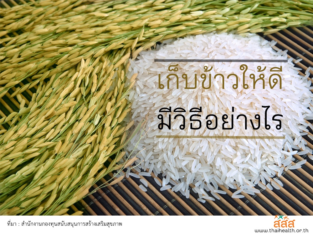 เก็บข้าวให้ดี...มีวิธีอย่างไร thaihealth