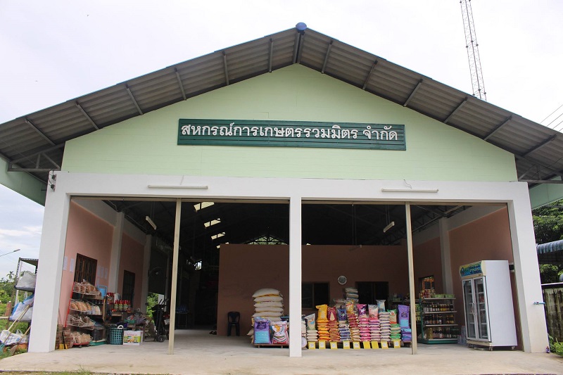 โมเดลระบบสหกรณ์เข้มแข็ง thaihealth