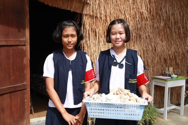 สุขภาวะที่ดี ชีวีสดใส ด้วยกลวิธี 6 ดี thaihealth