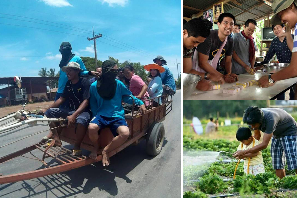 'คนกล้าคืนถิ่น' พัฒนาบ้านเกิด thaihealth