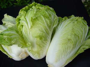  มูลนิธิผู้บริโภคเผยผักห้างต่ำมาตรฐาน