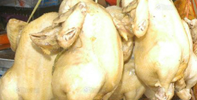 แพทย์แนะกินไก่ปรุงสุกหวั่นไข้หวัดนกระบาด