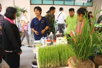 ตลาดนัดสีเขียวพิจิตรไร้สารพิษ