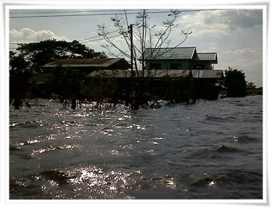 สสส.ช่วยน้ำท่วมที่สุพรรณฯ