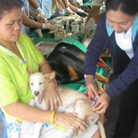 สธ.ปลูกจิตสำนึกคนรักสัตว์พาฉีดวัคซีน