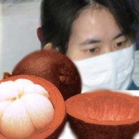 นักวิจัยไทยสุดเจ๋ง! ผลิตผ้าปิดจมูกหยุดวัณโรค