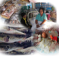 สธ.สั่งสอบ ! ลูกชิ้นพิษ ปนเนื้อปลาปักเป้า ป่วยกว่า 300