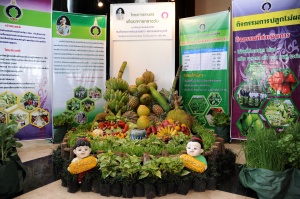 thaihealth การประชุมวิชาการแห่งชาติด้านอาหารและโภชนาการเพื่อสุขภาพ ครั้งที่ 1