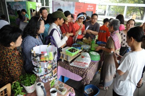 thaihealth เทศกาลสวนผักคนเมือง : City Farm Festival 2014