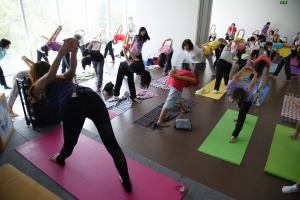 Sook Activity Body Face Yoga
