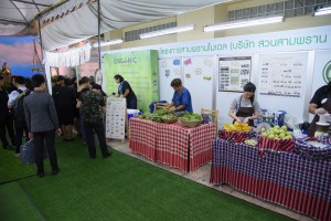 การประชุมวิชาการ กินผักผลไม้ปลอดภัย 400 กรัม เพื่อสุขภาพ