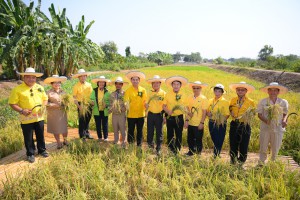 thaihealth เปิดบ้าน ฟาร์มสร้างสุข