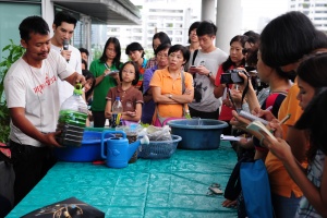 thaihealth Green Workshop : ปลูกผัก รักษ์โลก