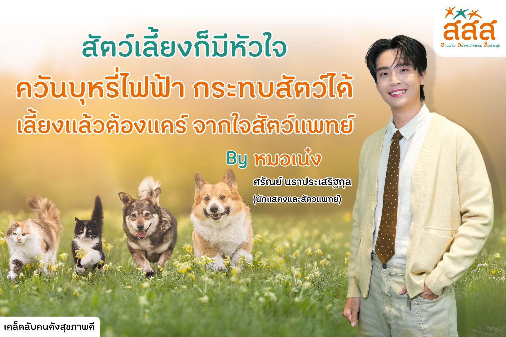 New Home Theme 3